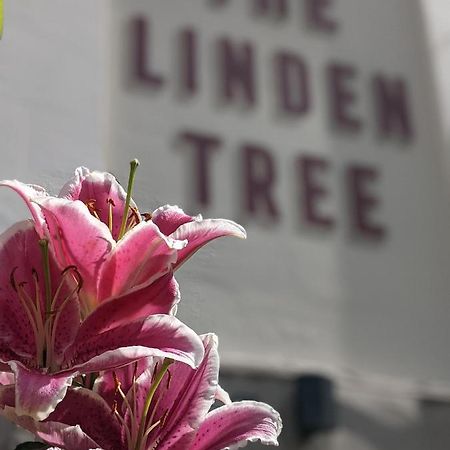 Linden Tree Bed and Breakfast Gloucester Exterior foto